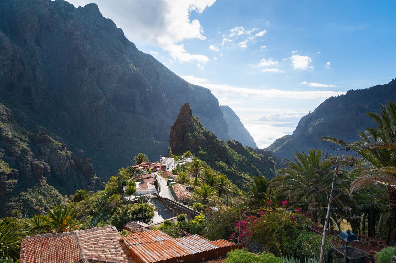 Tenerife Highlights Full-Day Tour