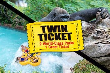 Twin ticket (Loro Parque + Siam Park) with transfer to Loro Park